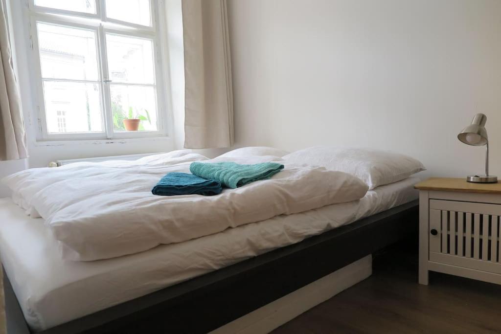 Hradcany Apartment With Green Energy Praha Eksteriør bilde
